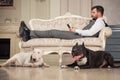 Man with mobile phone liesing on the sofa. Dogs: black pit bull or stafforshire terrier, white bull terrier seatting in the legs o