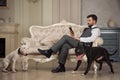 Man with mobile phone seating on the sofa. Dogs: black pit bull or stafforshire terrier, white bull terrier seatting in the legs o