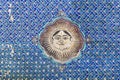 Man in the moon decoration on a ceiling, palace of Bundi, Rajasthan, India