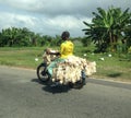 Man on Motorcycle with Chickens- Ivory Coast, Africa.