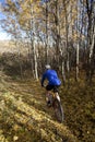 Man mountain biking Royalty Free Stock Photo