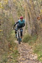 Man mountain biking in forest.