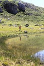 Man and a mountain reflected on a lake Royalty Free Stock Photo