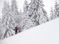 The man is in the mountains in winter. Royalty Free Stock Photo