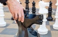 Man moving giant chess piece horse outdoor