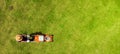 A man is mowing a lawn with a lawn mower in his beautiful green floral garden Royalty Free Stock Photo