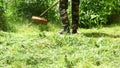 A man mows grass with a manual lawn mower