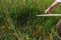 A man mows the grass with a scythe Royalty Free Stock Photo