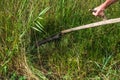 A man mows the grass with a scythe Royalty Free Stock Photo