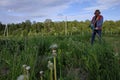 Man mows the grass with a trimmer, tall grass in a meadow, handmade in the garden Royalty Free Stock Photo