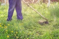 A man mows a green grass lawn mower on a sunny day Royalty Free Stock Photo