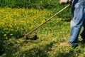 Man mows a spring green lawn with dandelions in the garden. trimming dandelions and other weeds in the yard. an overgrown backyard Royalty Free Stock Photo
