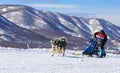 Man musher hiding behind sleigh at sled dog race on snow in winter