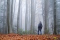 Man in the mysterious dark beech forest in fog Royalty Free Stock Photo