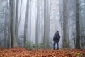 Man in the mysterious dark beech forest in fog Royalty Free Stock Photo