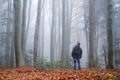 Man in the mysterious dark beech forest in fog Royalty Free Stock Photo