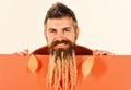 Man with natural spikelet in beard on white and orange background. Hipster with happy face in autumn nature holds yellow