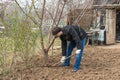 A man near her house ditches fruit trees