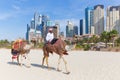 Man offering camel ride on Jumeirah beach, Dubai, United Arab Emirates.