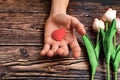 Man offers a heart and tulips on a brown wooden background. The concept of the holiday of Valentine`s Day, and International Wome Royalty Free Stock Photo