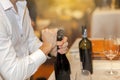 Man opening a wine bottle. Royalty Free Stock Photo