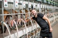 Man operating milking machine at the goat farm Royalty Free Stock Photo