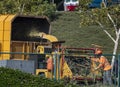 Man in orange safety vest and orange hard hat operating tree chipper Machine