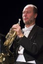 Man in Orchestra at the Vienna Ball Royalty Free Stock Photo