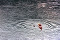 BELIS-FANTANELE, ROMANIA, AUGUST 12, 2023: Man trying to climb into the overturned kayak on Belis-Fantanele dam lake.