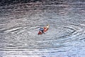 BELIS-FANTANELE, ROMANIA, AUGUST 12, 2023: Man trying to climb into the overturned kayak on Belis-Fantanele dam lake.