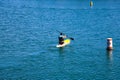 A man in a paddle boat rowing across the vast deep blue ocean water in the harbor surrounded buoys in the water at Baby Beach