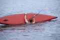 Man with a paddle in a hand trying to get on SUP board after he fell down Royalty Free Stock Photo