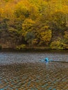 Man Paddleboarding in Autumn Lake Royalty Free Stock Photo