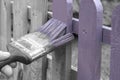 Man painting a wooden picket fence with purple wood stain and brush in a garden.