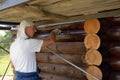 Man paints a log house Royalty Free Stock Photo