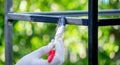 a man paints metal with black paint with a brush Royalty Free Stock Photo