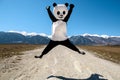 Man in a panda costume jumping on road. Bulgaria, Bansko - 2015. Royalty Free Stock Photo