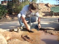 Man panning for gold on a tourist mine of Western Australia.