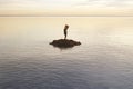 Man with paper bag on his face does not accept his shipwrecked condition on an island, abstract concept