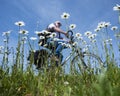 Man passes spring flowers under blue sky in dutch summer landscape Royalty Free Stock Photo