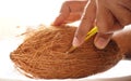 man peeling coconut Royalty Free Stock Photo
