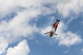 Man performing the Dance of the Flyers Danza de Los Voladores in the El Tajin, Mexico.