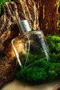 Man perfume bottle on wooden moss background. Luxury glass cologne package bottle clipart.