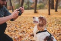 Man photographing his dog in a park. Royalty Free Stock Photo