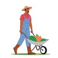 Man Pick Harvest to Wheelbarrow in Orchard. Gardener Character Seasonal Work on Farm. Farmer Harvesting Ripe Fruits