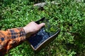 Man is picking blueberries with a special comb Royalty Free Stock Photo