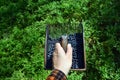 Man is picking blueberries with a special comb Royalty Free Stock Photo