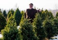 Man picking out a Christmas tree Royalty Free Stock Photo