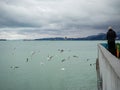 Man on the pier against the backdrop of seagulls. People feed the seagulls. Birds on the sea