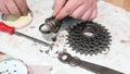 A man places balls on the lubricated inner case of a mountain bike rear wheel ratchet. Do-it-yourself mountain bike repair at home